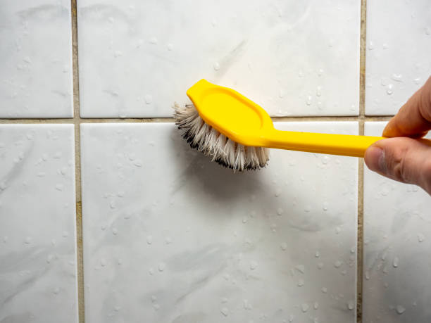 Best Mold Removal Company Near Me  in Sparta, GA