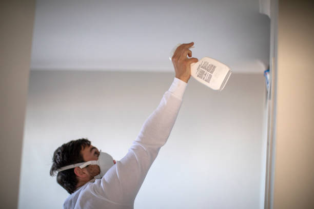 Best Affordable Mold Removal  in Sparta, GA