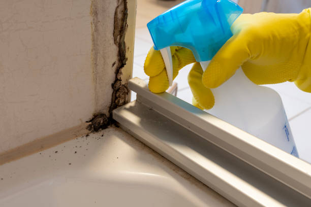 Best Home Mold Removal  in Sparta, GA