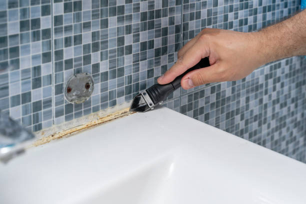 Best Fast Mold Removal  in Sparta, GA