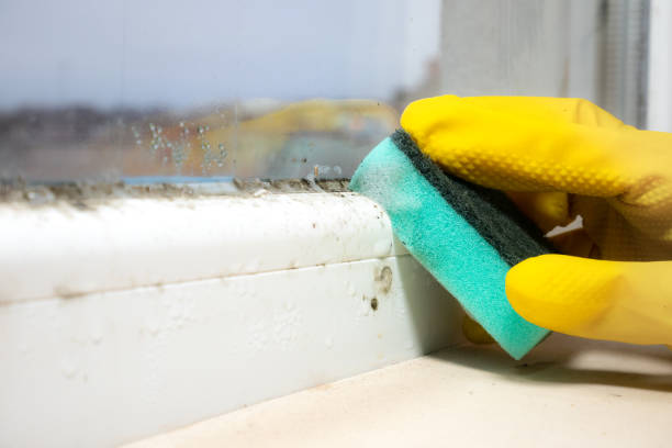 Best Commercial Mold Removal  in Sparta, GA