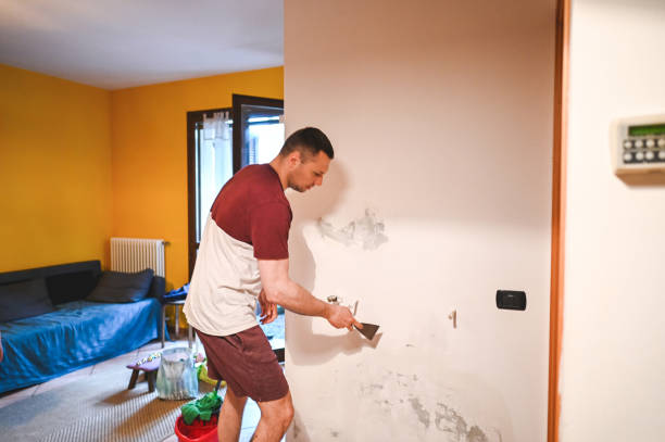 Trusted Sparta, GA Mold Removal Experts