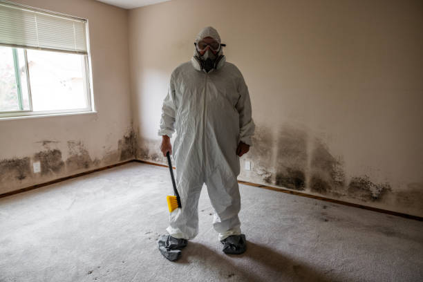 Best Office Mold Removal Services  in Sparta, GA