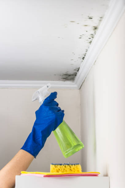 Water Damage Restoration in Sparta, GA